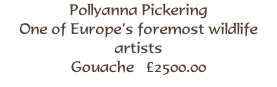 Pollyanna Pickering
One of Europe’s foremost wildlife artists
Gouache   £2500.00
